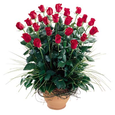  Afyon uluslararası çiçek gönderme  10 adet kirmizi gül cam yada mika vazo