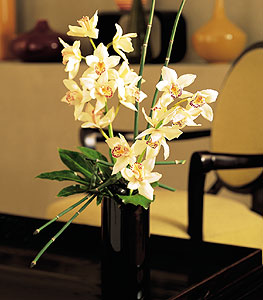  Afyon iekiler  cam yada mika vazo ierisinde dal orkide