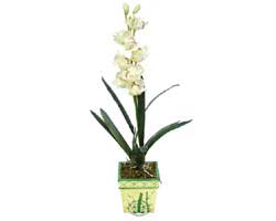 zel Yapay Orkide Beyaz   Afyon online ieki , iek siparii 