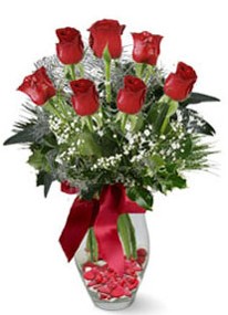  Afyon internetten çiçek siparişi  7 adet kirmizi gül cam vazo yada mika vazoda