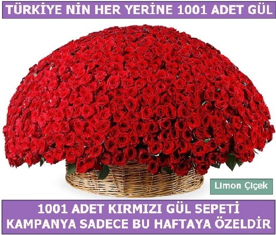 1001 Adet kırmızı gül Bu haftaya özel  Afyon İnternetten çiçek siparişi 