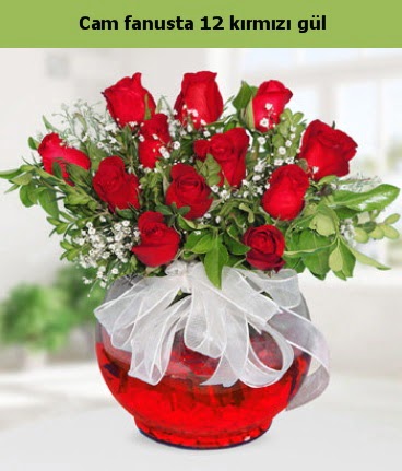 Cam içerisinde 12 adet kırmızı gül  Afyon internetten çiçek satışı 