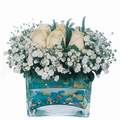 mika ve beyaz gül renkli taslar   Afyon çiçek satışı 