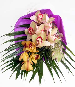  Afyon cicekciler , cicek siparisi  1 adet dal orkide buket halinde sunulmakta