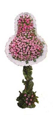  Afyon ucuz çiçek gönder  dügün açilis çiçekleri  Afyon internetten çiçek siparişi 