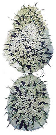  Afyon uluslararası çiçek gönderme  nikah , dügün , açilis çiçek modeli  Afyon hediye çiçek yolla 