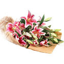  Afyon İnternetten çiçek siparişi  4 adet pembe lilyum buketi 