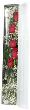  Afyon çiçek siparişi sitesi   5 adet gülden kutu güller