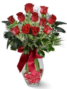 9 adet gül  Afyon internetten çiçek satışı  kirmizi gül