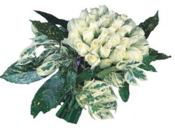  Afyon internetten çiçek siparişi  9 Beyaz gül Özel kisiler için