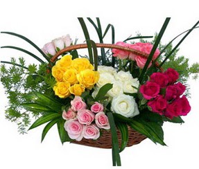  Afyon ucuz çiçek gönder  35 adet rengarenk güllerden sepet tanzimi