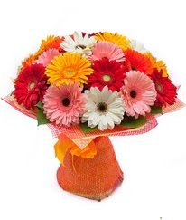 Renkli gerbera buketi  Afyon anneler günü çiçek yolla 
