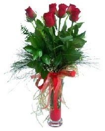 vazo içerisinde 5 kırmızı gül  Afyon güvenli kaliteli hızlı çiçek 