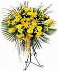  Afyon yurtiçi ve yurtdışı çiçek siparişi  Sari kazablanka Ferforje