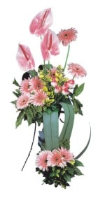  Afyon güvenli kaliteli hızlı çiçek  Pembe Antoryum Harikalar Rüyasi