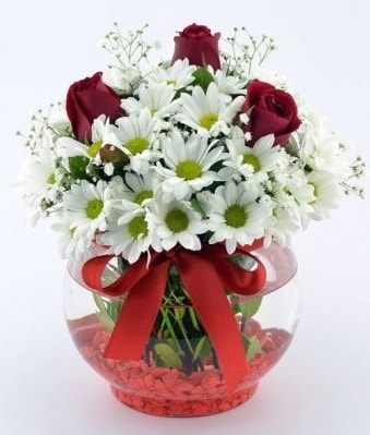 Fanusta 3 Gül ve Papatya  Afyon internetten çiçek satışı 