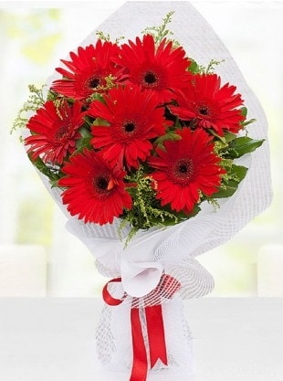 Kırmızı Gelbera Buketi  Afyon internetten çiçek siparişi 