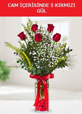 Cam içerisinde 5 adet kırmızı gül  Afyon çiçek siparişi sitesi 
