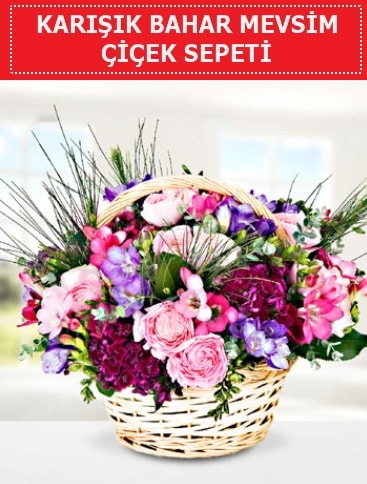 Karışık mevsim bahar çiçekleri  Afyon ucuz çiçek gönder 